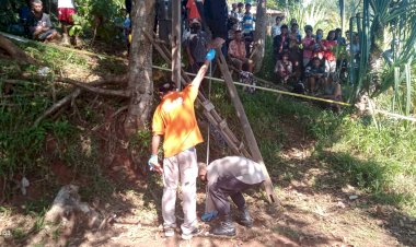 Pria-23-Tahun-Ditemukan-Tak-Bernyawa--Di-Pohon-Mangga