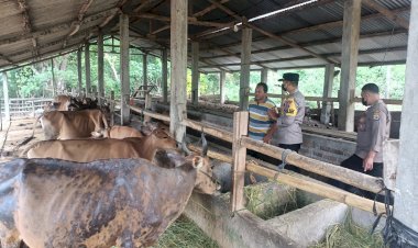 Polsek-Satar-Mese-Lakukan-Pendataan-Hewan-Ternak-Terkait-PMK