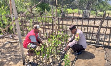 Polsek-Reo,-Polres-Manggarai,-Siapkan-Lokasi-Tanam-Pohon-dalam-Rangka-HUT-Humas-Polri-ke-72