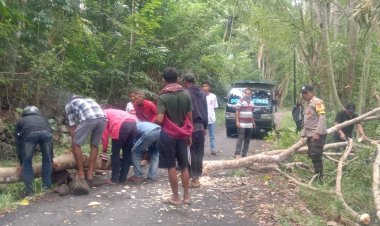 Babinkamtibmas-Kecamatan-Satarmese-Barat-bersama-warga-bersihkan-pohon-tumbang-pastikan-akses-jalan-lancar.