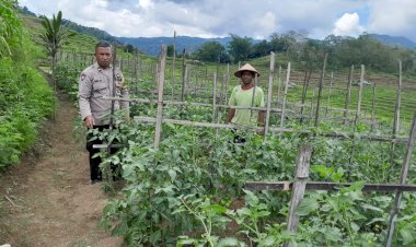 Dampingi-Petani-Wujudkan-Ketahanan-Pangan,-Bhabinkamtibmas-Rahong-Utara-terjun-langsung-sambangi-petani-di-Loi.