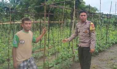 Bhabinkamtibmas-Kecamatan-Reok-:-Sambang-dan-Pemantauan-Lokasi-Ketahanan-Pangan-di-Reok