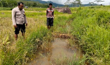 Bhabinkamtibmas-Kec.-Ruteng-Motivasi-Warga-Dukung-Program-Ketahanan-Pangan
