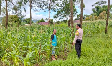 Bhabinkamtibmas-Bripka-Fransiskus-X.N.-Janggur-Dukung-Ketahanan-Pangan-Melalui-Sambang-Warga