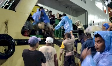 KP3-Laut-Pelabuhan-Reo-Laksanakan-Pengamanan-Kapal-Penumpang-KM-Sabuk-Nusantara-55