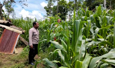 Bhabinkamtibmas-Ruteng-Ajak-Warga-Manfaatkan-Pekarangan-Rumah-sebagai-Sumber-Pangan-Bergizi