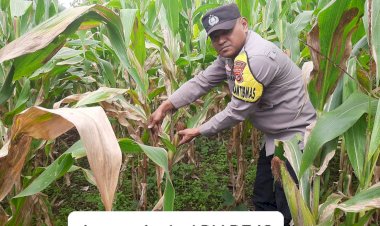 Bhabinkamtibmas-Desa-Nao-Dukung-Program-Ketahanan-Pangan-melalui-Pendampingan-Petani