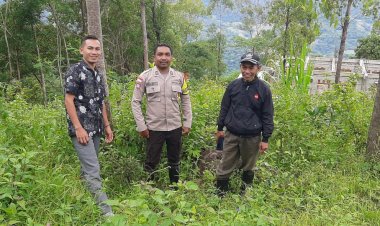 Bhabinkamtibmas-Kecamatan-Cibal-Tinjau-Lahan-untuk-Program-Penanaman-Jagung-Serentak