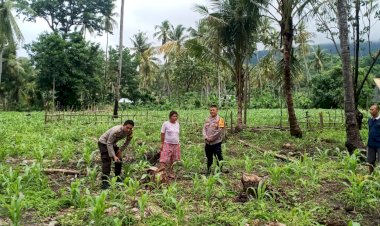 Patroli-dan-Sambang-Bhabinkamtibmas-di-Desa-Robek:-Dorong-Produktivitas-Ketahanan-Pangan