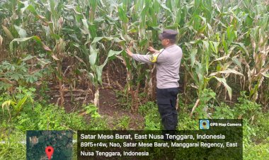 Bhabinkamtibmas-Desa-Nao-Dampingi-Petani-dalam-Program-Ketahanan-Pangan