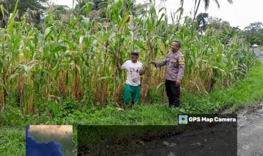 Aipda-Kornelius-Jemarus-Dampingi-Petani-dalam-Program-Ketahanan-Pangan-di-Rahong-Utara