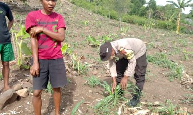 Bripka-Arsel-Liunima-Dampingi-Petani-dalam-Program-Ketahanan-Pangan-di-Satarmese-Barat