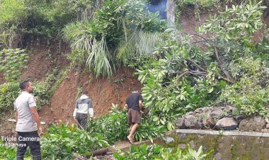 Bhabinkamtibmas-Kec.-Cibal-AIPDA-Ramly-Budiman-Pantau-Lokasi-Longsor-di-Kampung-Ringkas