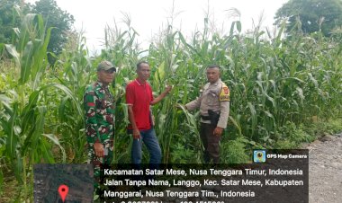 Bhabinkamtibmas-Satar-Mese-Dampingi-Petani-dalam-Program-Ketahanan-Pangan