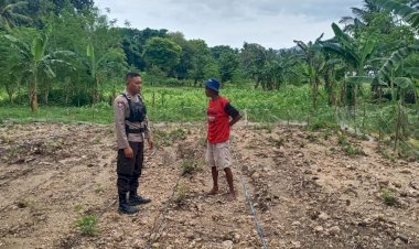 Bhabinkamtibmas-Kelurahan-Baru,-Kec.-Reok,-Dampingi-Petani-dalam-Program-Ketahanan-Pangan
