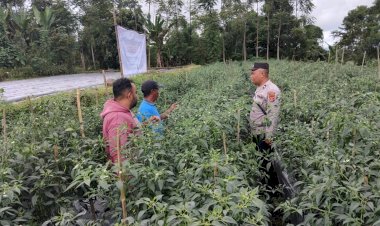 Polres-Manggarai-Dampingi-Kelompok-Tani-KWT-Apung-dalam-Program-Ketahanan-Pangan