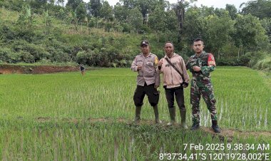 Bhabinkamtibmas-Kecamatan-Lelak-Pantau-dan-Dampingi-Petani-dalam-Program-Ketahanan-Pangan