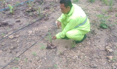 Bhabinkamtibmas-Kecamatan-Reo-Lakukan-Pengecekan-dan-Pengawasan-Lahan-Penanaman-Serentak-di-Lingkungan-Polres-Manggarai
