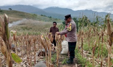 Aipda-Emilius-Johan-Dampingi-Petani-Kelompok-Tani-Mawar-dalam-Program-Ketahanan-Pangan
