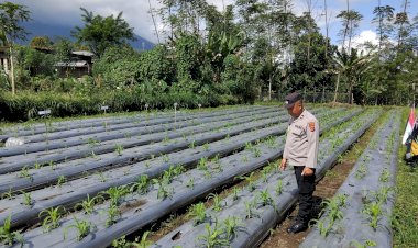 Polres-Manggarai-Rutin-Lakukan-Pengecekan-dan-Pengawasan-Lahan-Penanaman-Serentak