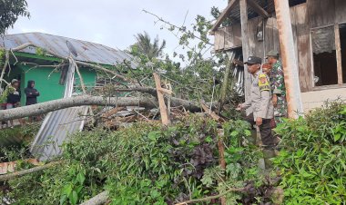 Bhabinkamtibmas-dan-Babinsa-Tinjau-Lokasi-Pohon-Tumbang-di-Rahong-Utara