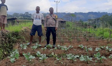 Bhabinkamtibmas-Wae-Ri'i-Dampingi-Petani-dalam-Program-Ketahanan-Pangan
