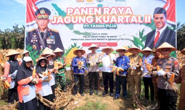 Kapolres-Kampar-Panen-Raya-Jagung,-Wujud-Dukungan-Nyata-untuk-Ketahanan-Pangan-Nasional