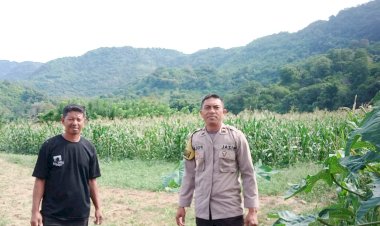 Bhabinkamtibmas-Bersinergi-Dalam-Mendukung-Ketahanan-Pangan