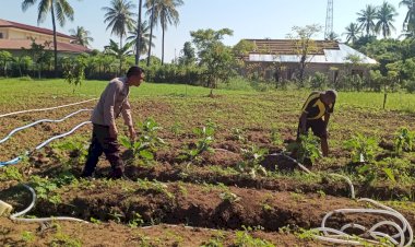 Bhabinkamtibmas-Kelurahan-Baru-Dukung-Ketahanan-Pangan-Melalui-Program-P2B