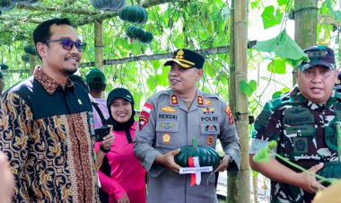 Kapolres-Manggarai-Hadiri-Panen-Raya-Hortikultura-Kodim-1612-Bersama-Forkopimda