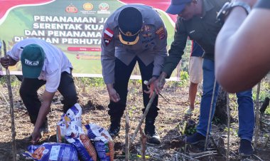 Kapolres-Manggarai-Dukung-Ketahanan-Pangan-Penanaman-Jagung-Serentak-Kuartal-III