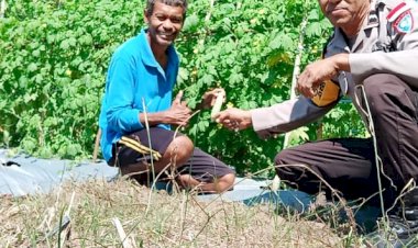 Sambangi-Petani-Hortikultura,-Bhabinkamtibmas-Lakukan-Monitoring-Hasil-Tanaman-Binaan