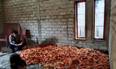 Bhabinkamtibmas-Desa-Nao-Laksanakan-Patroli-dan-Sambang-Kelompok-Tani-Bea-Majok