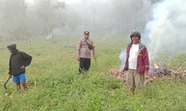 Bhabinkamtibmas-Desa-Nao-Dukung-Program-Ketahanan-Pangan-dengan-Sambang-Lahan-Jagung-Warga