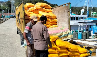 KP3-Laut-Reo-Laksanakan-Pengamanan-Aktivitas-Bongkar-Muat-di-Pelabuhan-Kelas-II-Reo