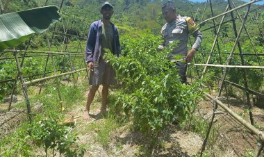 Dukung-Program-Ketahanan-Pangan,-Bhabinkamtibmas-Kecamatan-Ruteng-Sambang-Kelompok-Tani-di-Desa-Beo-Rahong
