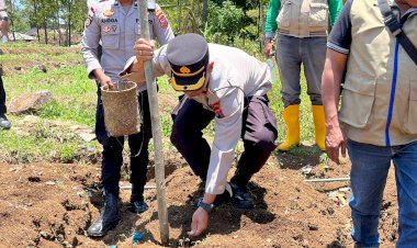 Polres-Manggarai-Dukung-Program-Swasembada-Pangan-melalui-Penanaman-Jagung-Serentak-Kuartal-IV