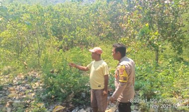 Dukung-Ketahanan-Pangan,-Bhabinkamtibmas-Reok-Lakukan-Monitoring-Lahan-Pertanian-Kelompok-Tani-Tunas-Harapan