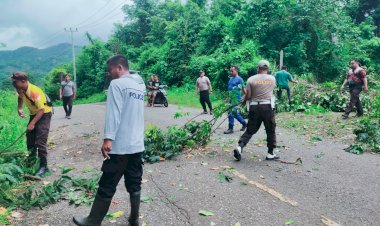 Kapolsek-Reo-Pimpin-Anggota-Evakuasi-Pohon-Tumbang-di-Jalan-Reo–Ruteng