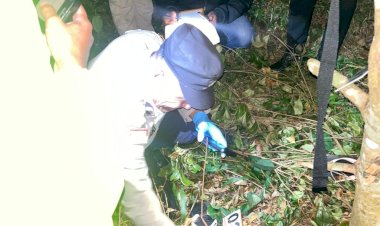 Istri-Histeris-Temukan-Suami-Akhiri-Hidup-di-Pohon-Cengkeh-,