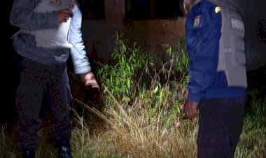 Bhabinkamtibmas-Kecamatan-Lelak-Datangi-TKP-Warga-Tersengat-Arus-Listrik-di-Bangka-Tonggur,-Kabupaten-Manggarai