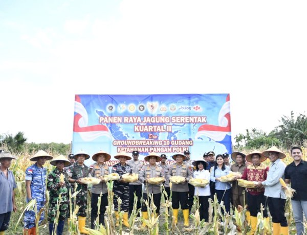 Di Tengah Hujan, Kapolda NTT Pimpin Semangat Ketahanan Pangan Lewat Panen Raya Jagung 2026