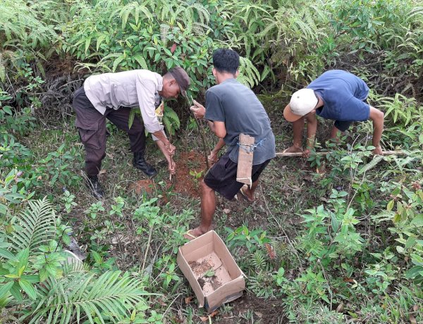 Bhabinkamtibmas Desa Tengku Lese Hadiri Penanaman Anakan Cengkeh Bersama Pemerintah Desa dan Warga, Perkuat Sinergi Kamtibmas serta Kepedulian Lingkungan