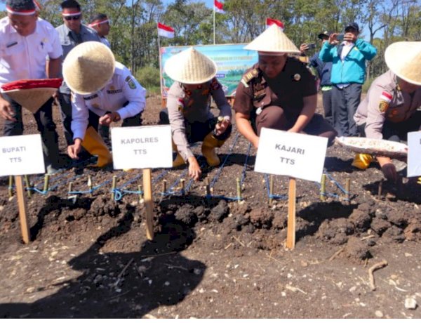 Polda NTT Dorong Ketahanan Pangan melalui Penanaman Bawang Putih Serentak