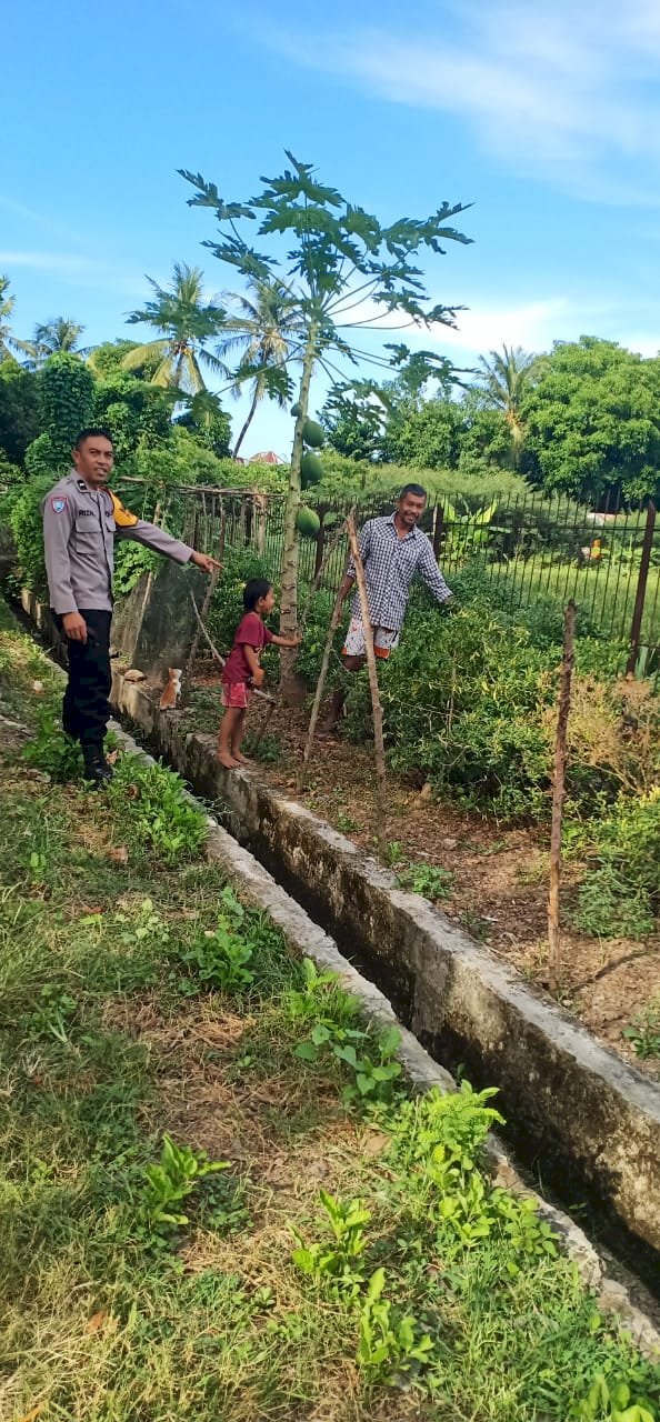 Dukung Program Ketahanan Pangan, AIPDA Syamsul Rizal Lakukan Sambang dan Pendampingan Petani di Reok