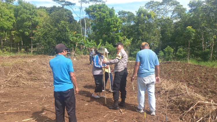 Bhabinkamtibmas Dampingi Petani dalam Program Ketahanan Pangan di Manggarai