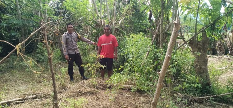 Bhabinkamtibmas Kelurahan Baru Dukung Program Pangan Pekarangan Bergizi di Desa Salama
