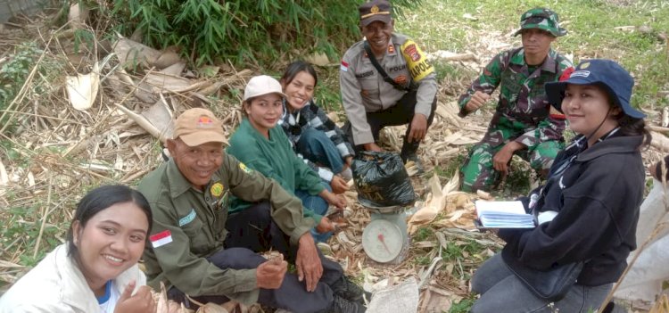 Bhabinkamtibmas Hadiri Panen Raya Jagung di Kecamatan Cibal
