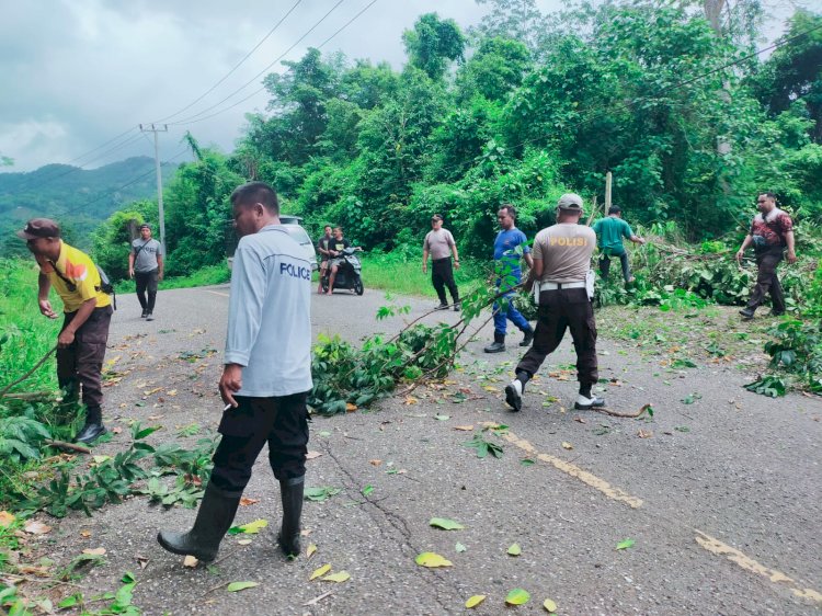 Kapolsek Reo Pimpin Anggota Evakuasi Pohon Tumbang di Jalan Reo–Ruteng