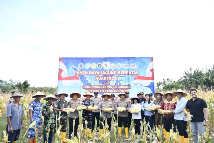 Di Tengah Hujan, Kapolda NTT Pimpin Semangat Ketahanan Pangan Lewat Panen Raya Jagung 2026